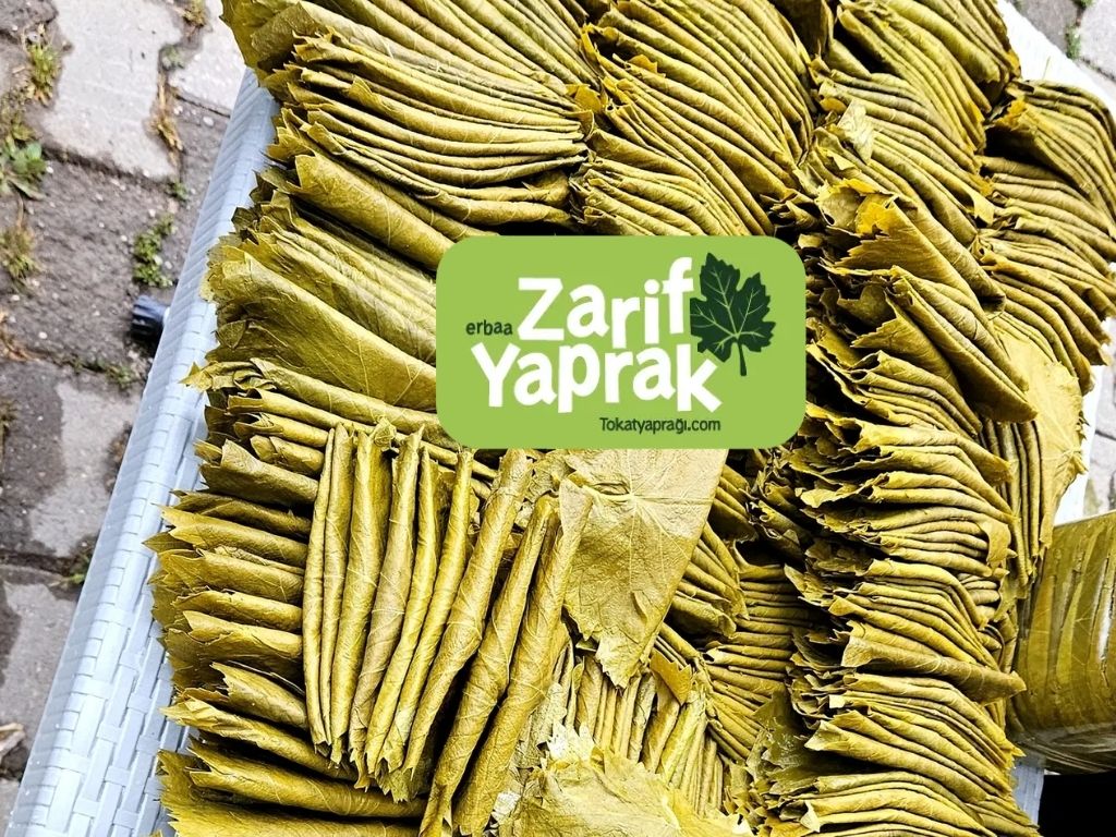 Geleneksel Mutfak Kültürünün Vazgeçilmezi Tokat yaprağı İle Merak Detaylar