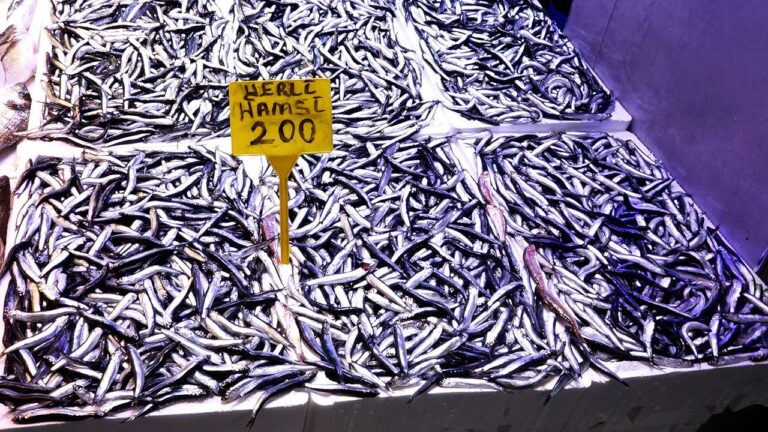 Balık tezgahlarında fiyatlar nasıl? – En son haberler