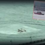 ABD’de Hudson Nehri’ne helikopter düştü! Görüntüler dehşete düşürdü