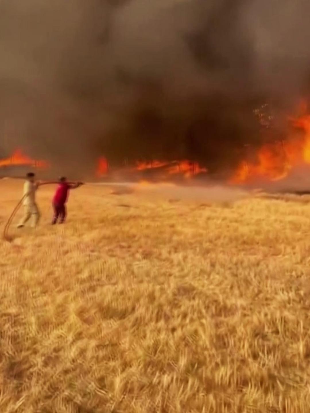 Sakarya'da Şaşırtıcı Ateş Görüntüsü! Alevler resmen bir tüp yarattı 4