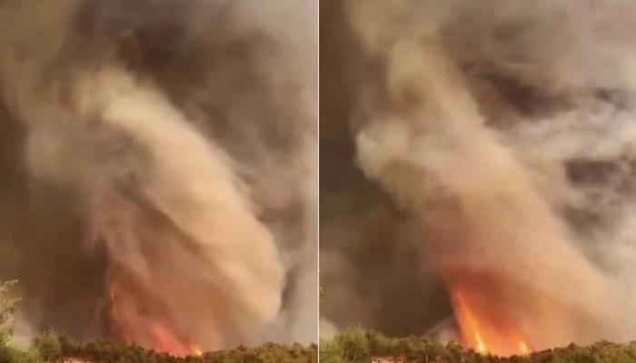 Sakarya’daki yangından çarpıcı görüntü! Alevler resmen hortum oluşturdu