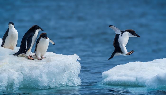 Antarktika’dan bilimi şaşkına çeviren gizemli sinyal: “Yaşayan Nostradamus” adlı ünlü kahinden özel açıklamalar: ‘Paralel evren’ iddiası!