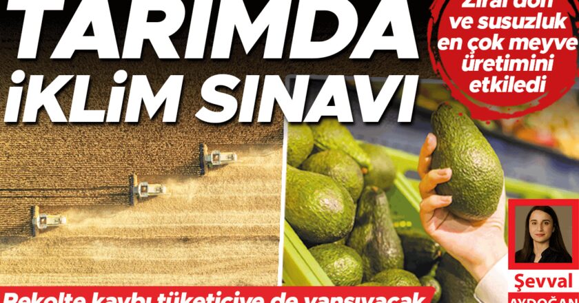 Tarımda iklim sınavı – Bigpara Haberleri