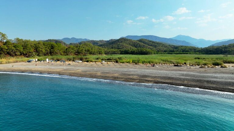 8 plaj düzenlenerek halkın kullanımına ücretsiz olarak açıldı