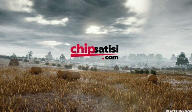 Zynga Poker Chip – Kesintisiz Oyun Deneyimi İçin Kurumsal Çözüm