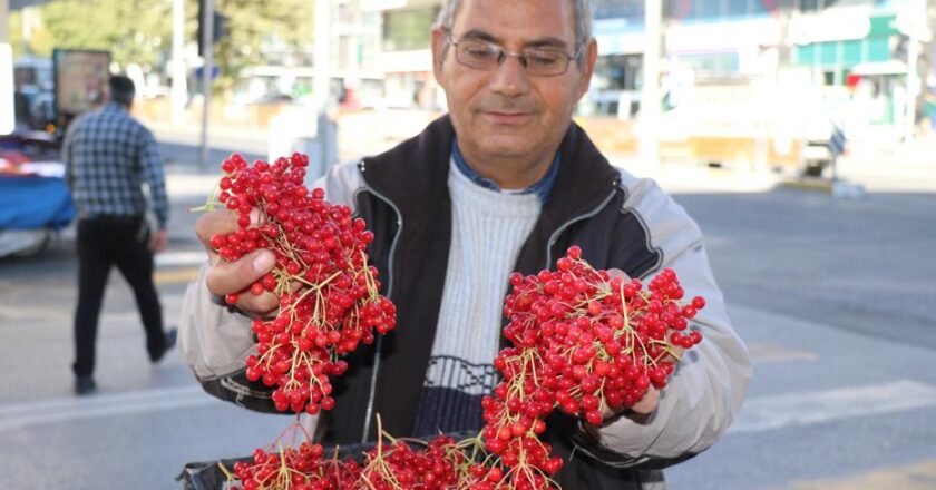 Halkın “gençlik iksiri” dediği meyve tezgahlarda!