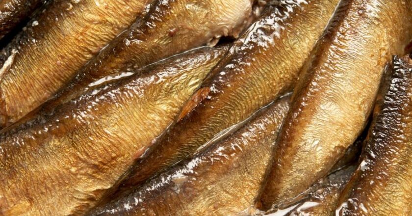 Hafızayı Kuvvetlendiren 8 Vitamin: Beyin Yaşlanmasını Durduruyor!